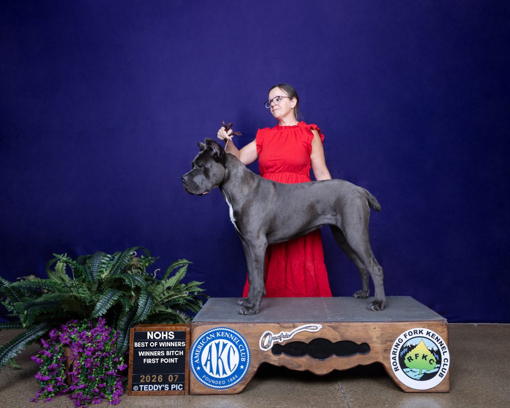 Iconic's Fiorella Reale CFCC
