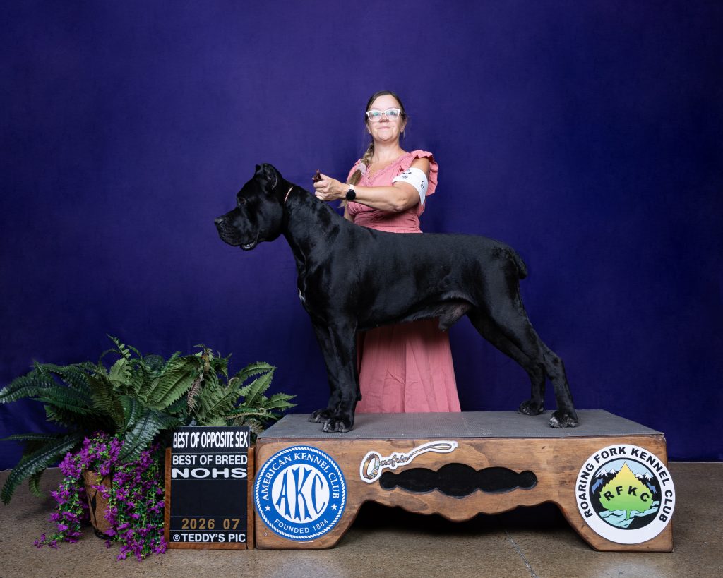 Lyord Basey Diesel CFS